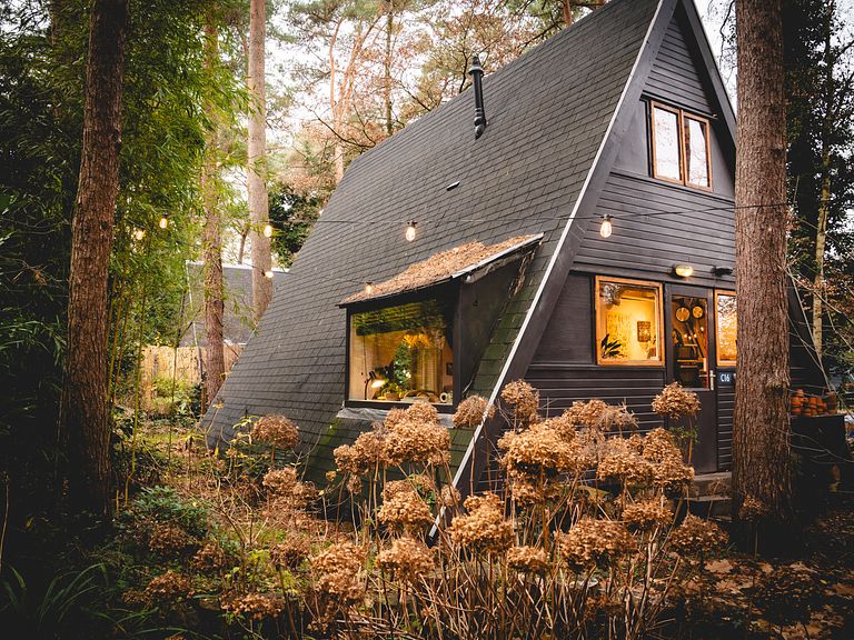 Knus A-frame huisje in de Belgische bossen - 1