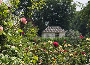 Salon de thé sur site d'un château - 2
