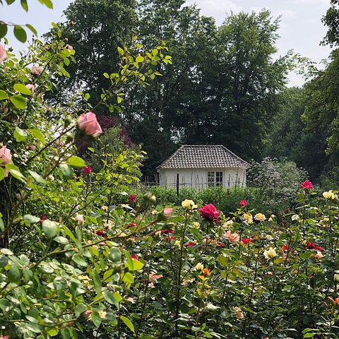 Salon de thé sur site d'un château - 2