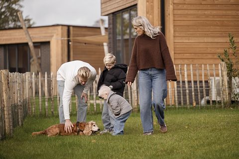 Logement de vacances avec wellness et portail pour chiens - 3