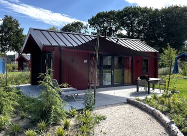 Colorful Tiny House near the Veluwe Mountains - 15
