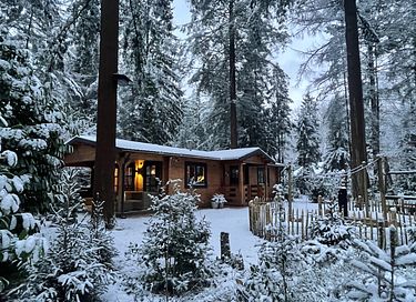 Tough luxury Scandinavian forest lodge on Veluwe - 38