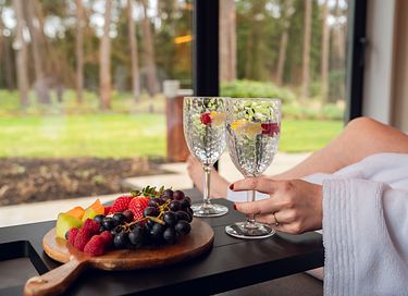 Luxuriöse Wellness-Lodge in den Wäldern von Brabant - 12