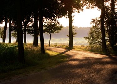 Romantisch natuurhuisje - 15