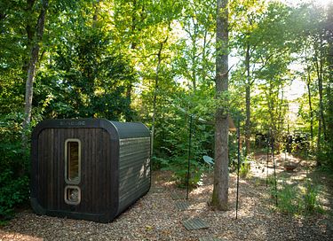 Luxury cabin with private sauna in the Ardennes - 3