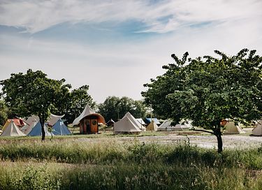 Luxe ingerichte safaritent voor 2-4 personen - 43