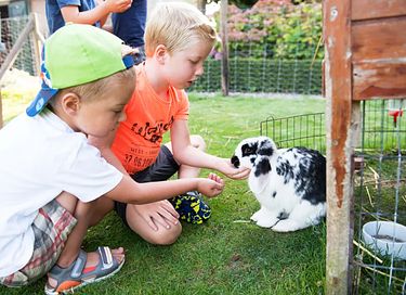 Glamping auf einem Ackerbauernhof - 15