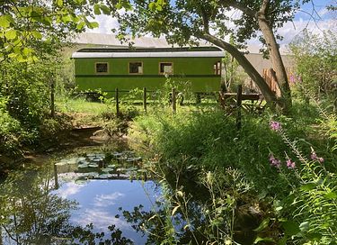 Grote groene pipowagen aan de bosrand
