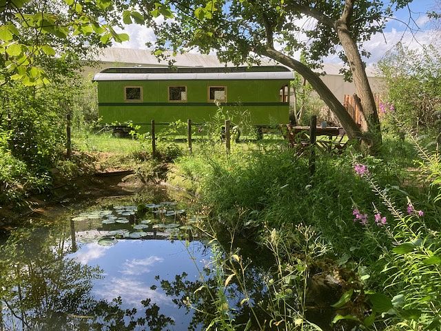 Large green wagon at the edge of the forest - 1