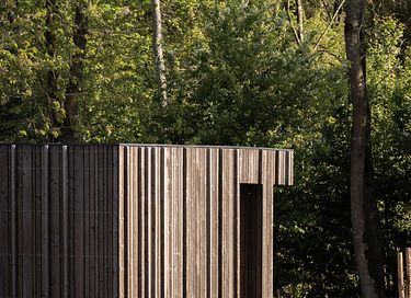 Lodge met privé jacuzzi in midden Nederland - 3