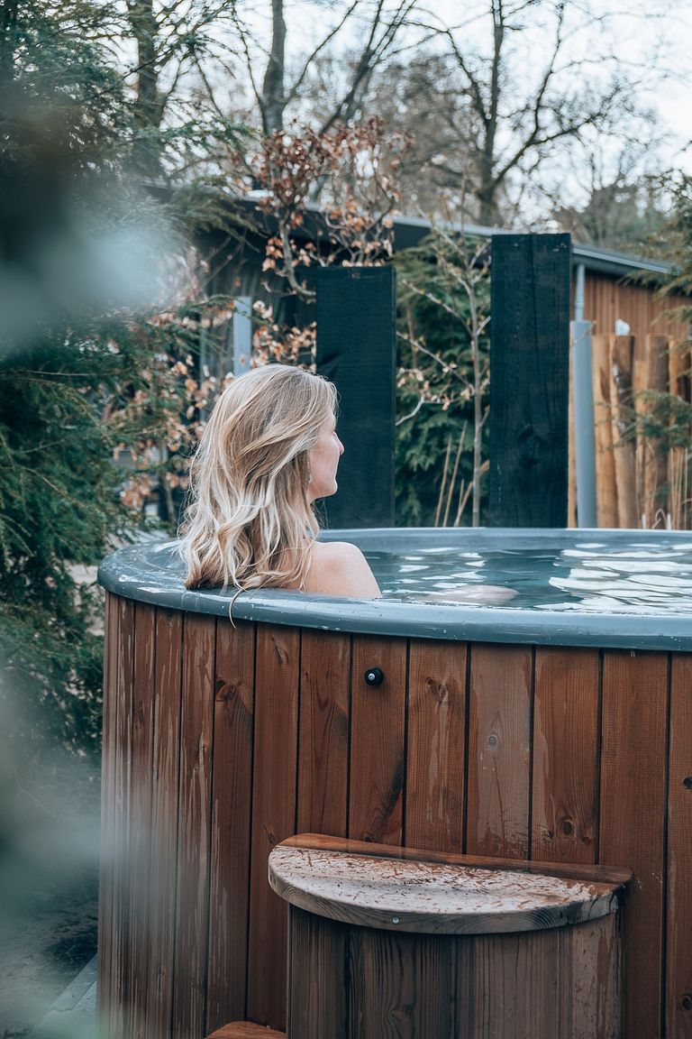 Wellness Ferienhaus (4p) auf der Veluwe - 1