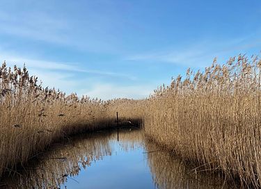 Leuk vakantiepark aan het water in Giethoorn - 26