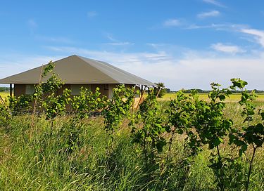 Glamping met privé hottub - 12
