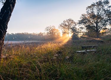 Maison la forêt idyllique dans le sud-est de la Frise - 29