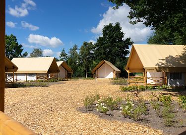 Glampingtent in Brabant - 11