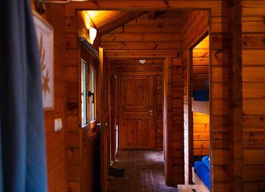 Chalet pour animaux (Veluwe) - 23