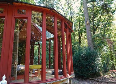 Glasjurte im Wald - 2