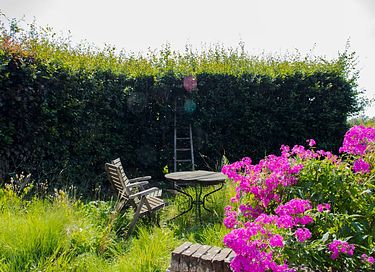 Petite maison de campagne avec cabine de douche près de Deventer - 38