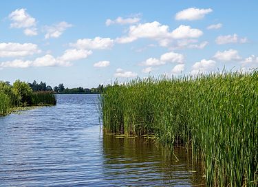 4-person beach house on a Frisian lake - 21