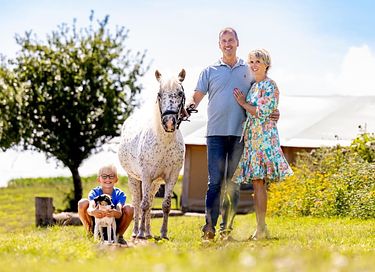 Glamping dans une ferme équestre et laitière - 10