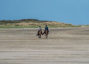 Wohnungen in dem Badeort Renesse - 27