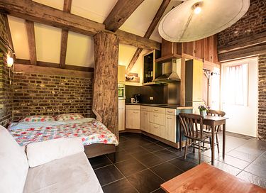 Tiny house in groene en historische omgeving - 5