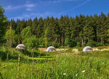 Panoramischer Aufenthalt im Glamping-Dom - 16