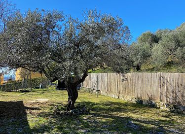 Vakantiehuis in de natuur met mooi uitzicht - 16