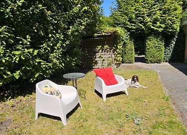 Dog-friendly forest cabin with privacy - 17