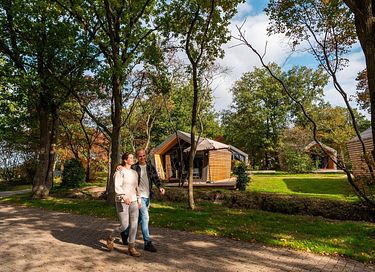 Knus verblijf in een bosrijke omgeving - 2