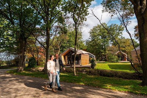Knus verblijf in een bosrijke omgeving - 2