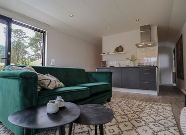 Wellness lodge op een park op de Veluwe - 5