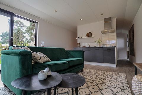 Wellness lodge op een park op de Veluwe - 5