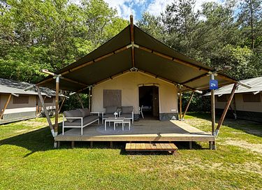 Luxe glampingtent in de Limburgse bossen - 3