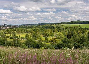 Glamping tent (5p) in Belgian Ardennes - 53