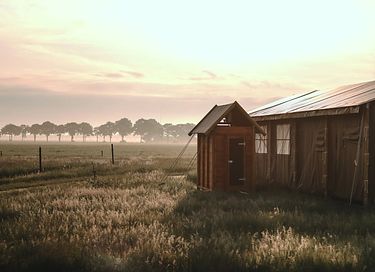 A small cabin among the animals near Appelscha