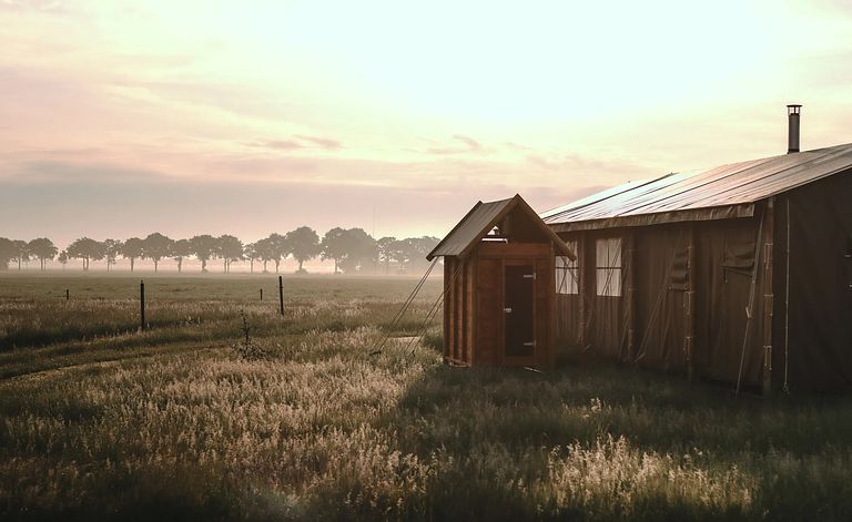 A small cabin among the animals near Appelscha - 1