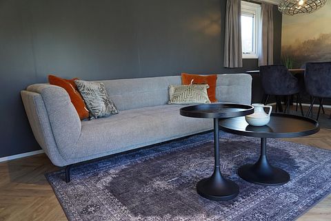 Tiny House voor 4 personen in Gelderland - 4