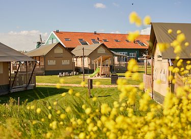 8-persoons glamping tent direct aan het water - 17