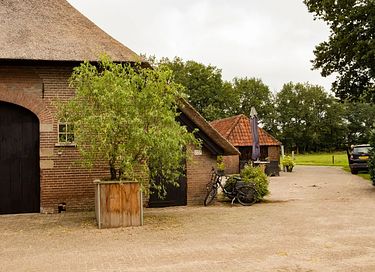Zurück zu den Wurzeln auf einem Bauernhof am Waldrand - 30
