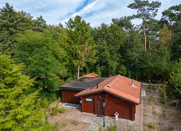 Cabane en rondins robuste avec sauna dans la forêt - 42