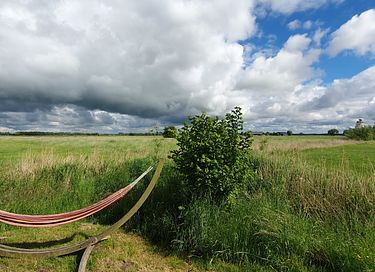 Glampingtent in Groningen met hottub - 10