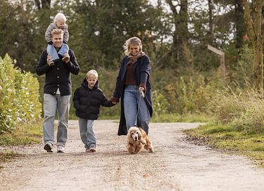 Logement de vacances avec wellness et portail pour chiens - 23