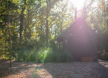 Luxury cabin with private sauna in the Ardennes - 42