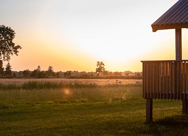 Natuurlodge voor 4 personen in Drenthe - 17