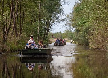 Knus huisje aan een visvijver in het groen - 26