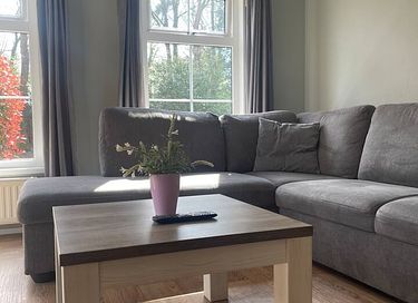 Chalet in Brabant - 4