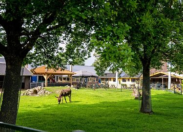 Glamping at Young Cattle Farm - 3
