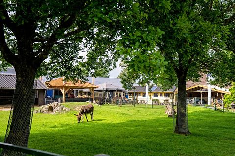 Glamping at Young Cattle Farm - 3