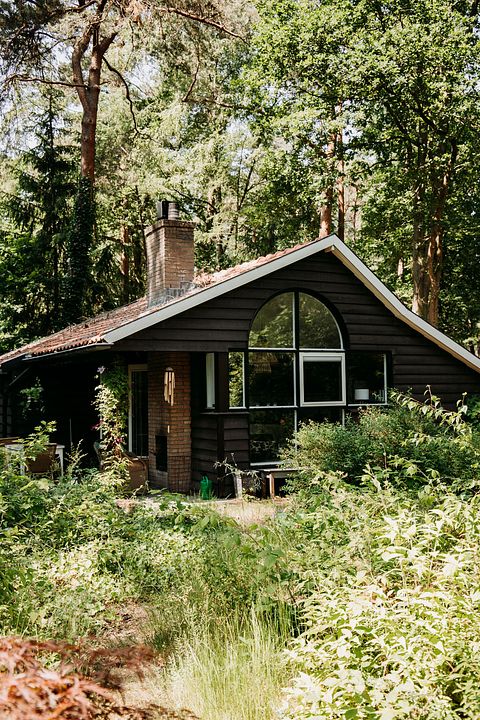 Romantic cottage in the forest with fireplace - 3